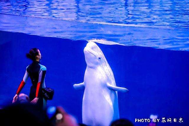 珠海亲子游必玩景点,珠海一日游适合带孩子玩的景点