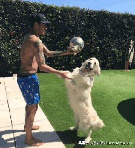 男足无缘世界杯了吗,国足是没踢进世界杯吗