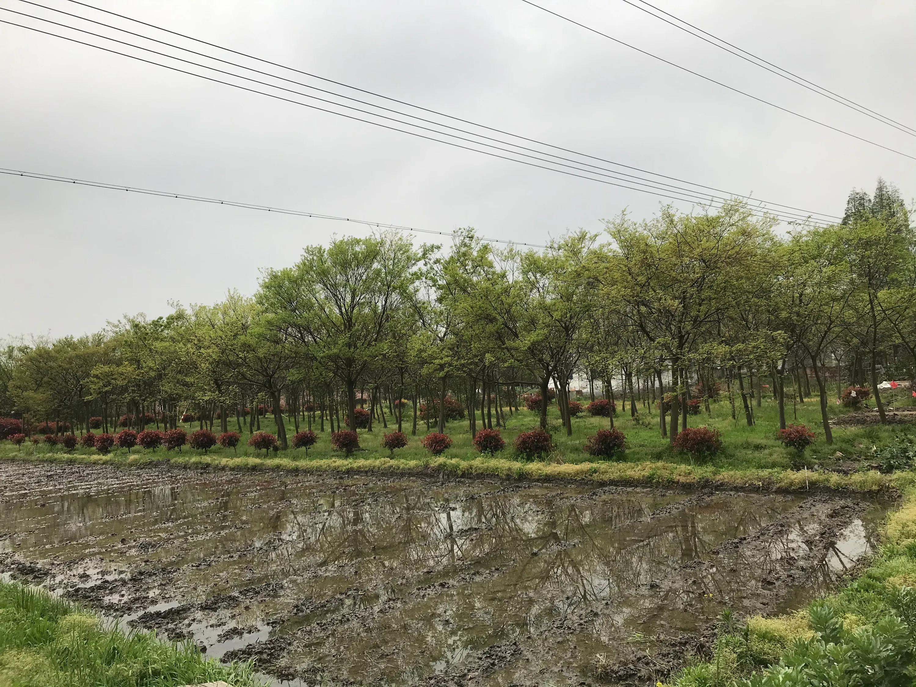 苏州吴江震泽八都,吴江区震泽八都贯桥社区