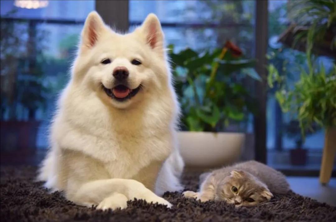 四本冷门但内容绝佳的都市小说,六部风格迥异的经典都市小说