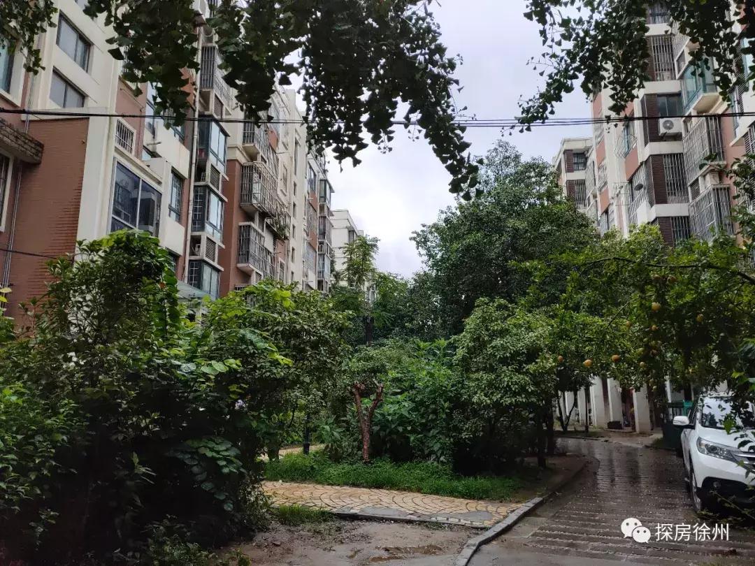 这个小区有点酷！门面全靠保安大爷撑起来，实探后竟发现...