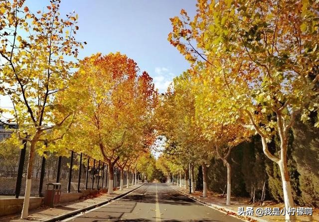 大连理工大学是综合实力位列国内工科院校十强