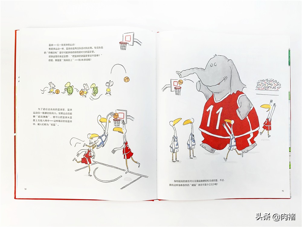 让孩子发现运动的乐趣并爱上运动,蠢萌动物