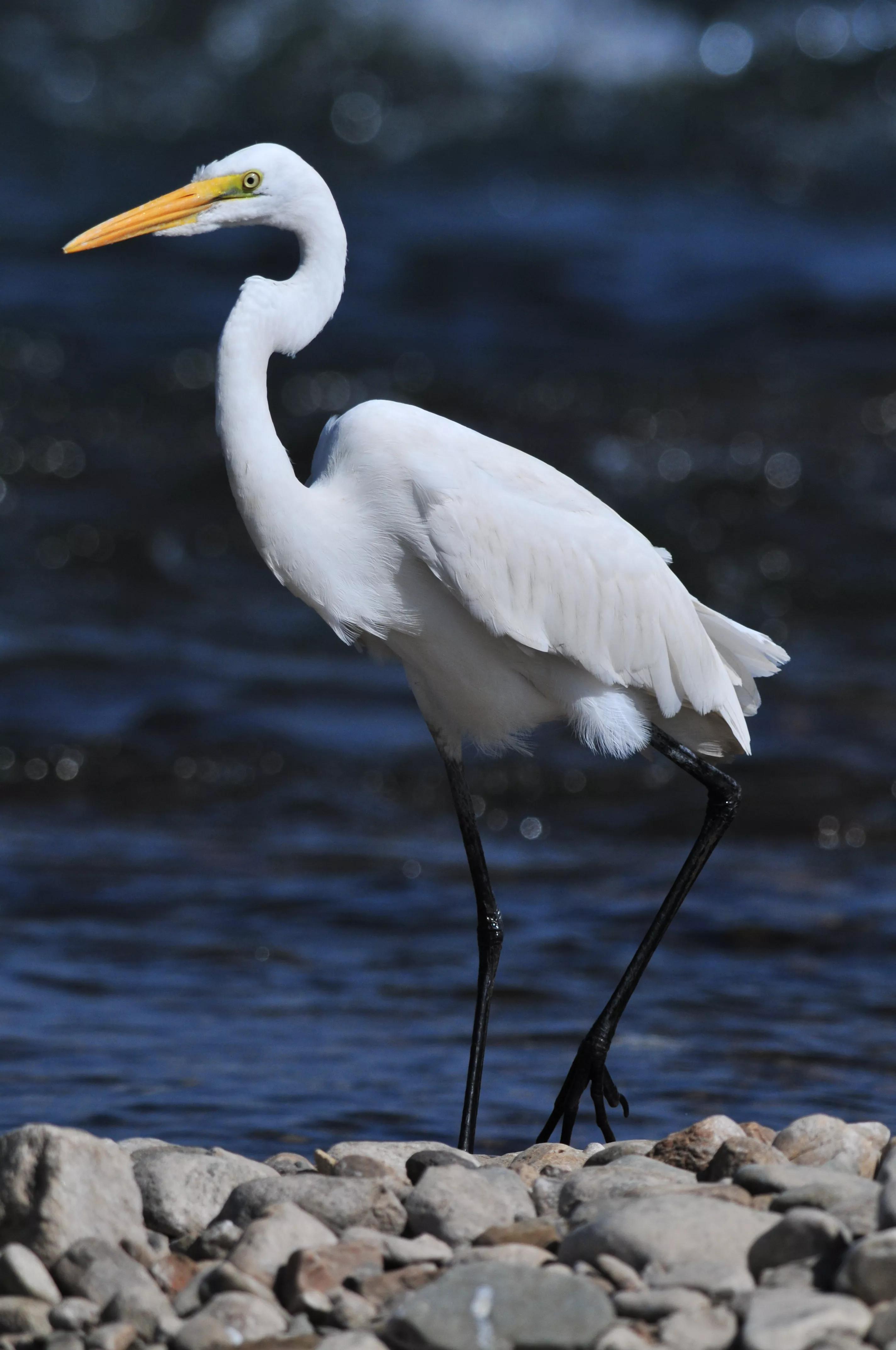 镜头装增距镜光圈会变化吗,镜头加增距镜后虚化效果会变好吗