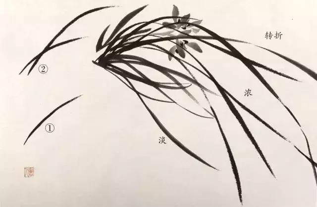 如何画兰花最好看的,君子兰花如何画