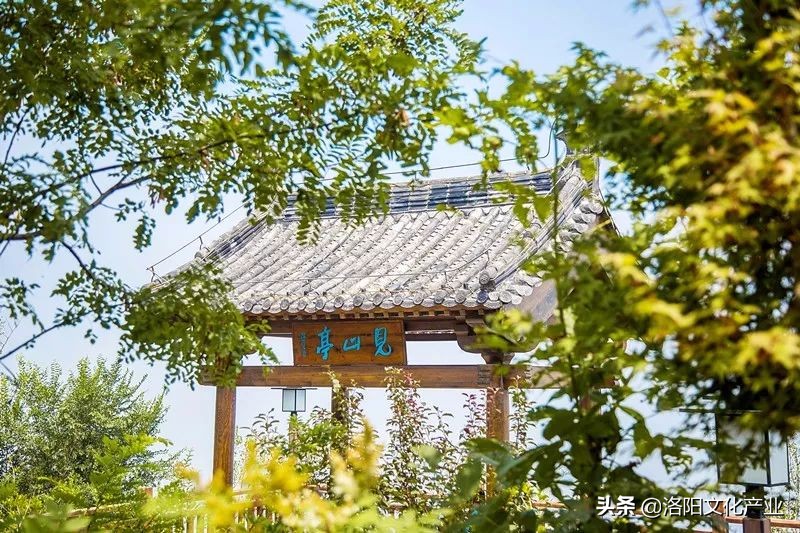 洛阳万安山七彩大峡谷与山顶公园,2020年洛阳万安山山顶公园照片