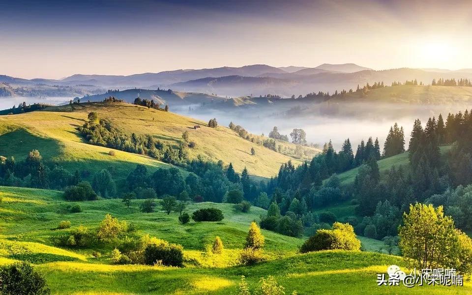 自媒体公众号名称怎么起,如何打造一个自媒体公众号