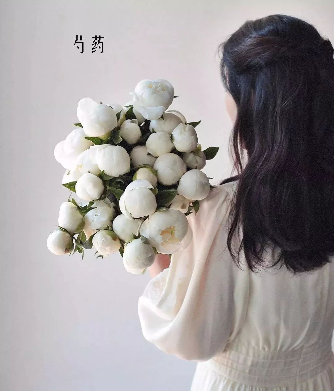 鲜花店常见花材品种大全,花店里同款的两种不同价格的花材