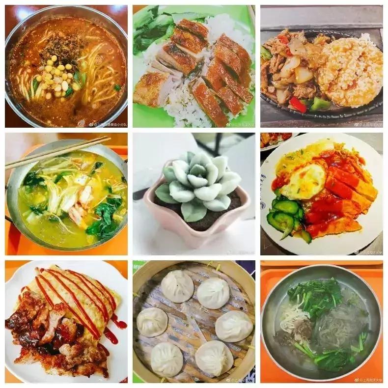 老灵额是什么,上海海洋大学参观攻略