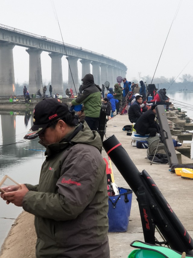 第四届铜牛杯钓鱼比赛,铜陵钓鱼比赛直播