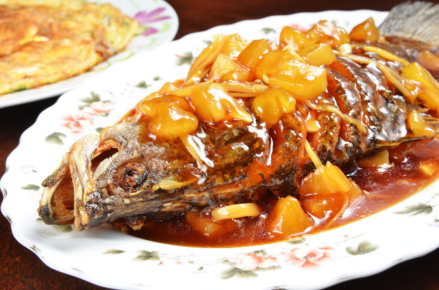 底滤鱼缸里的小鱼不见了怎么回事,底滤大鱼缸换水的正确方法