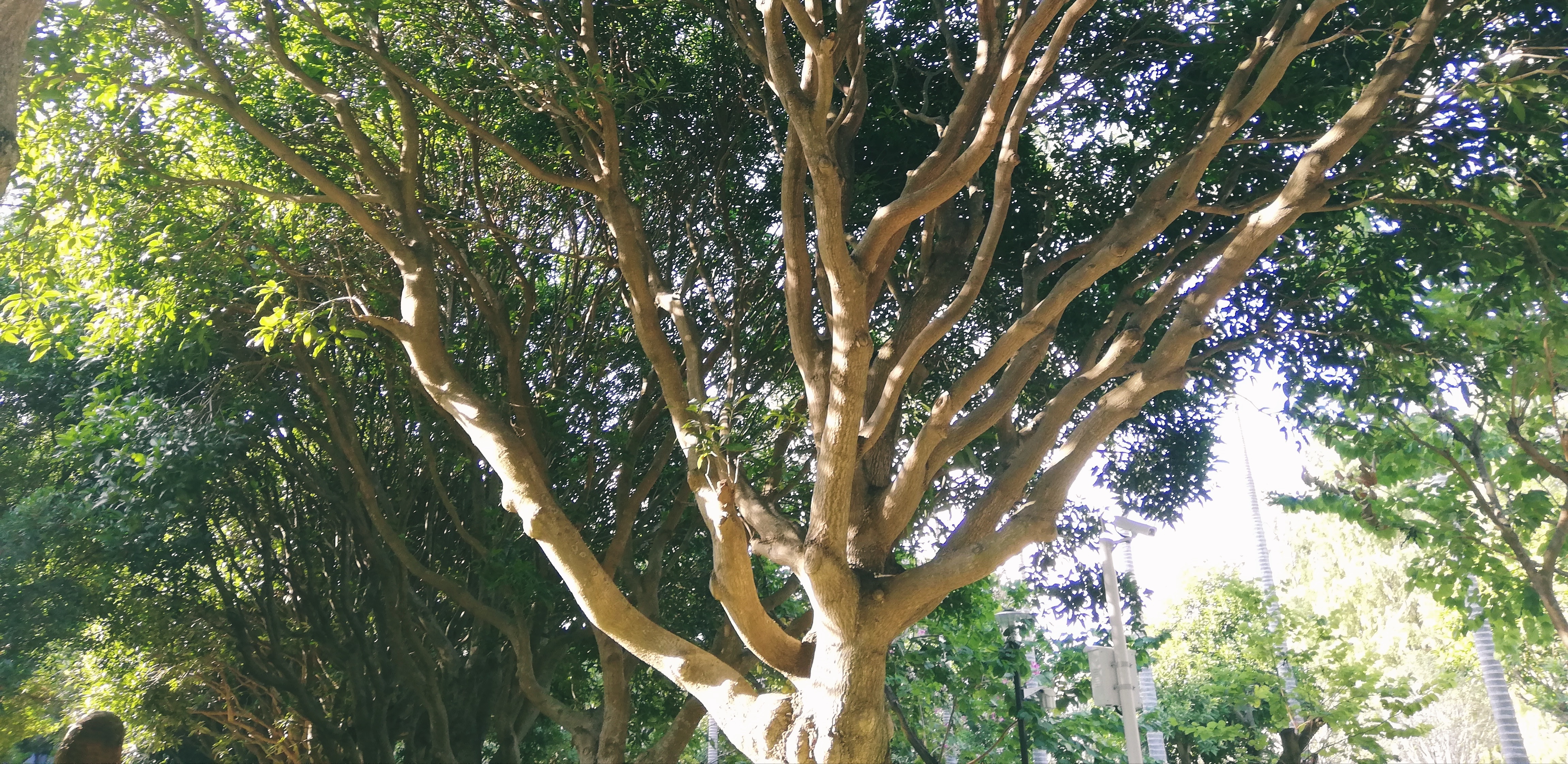 我喜欢摄影的三个原因,浅谈摄影技术与艺术