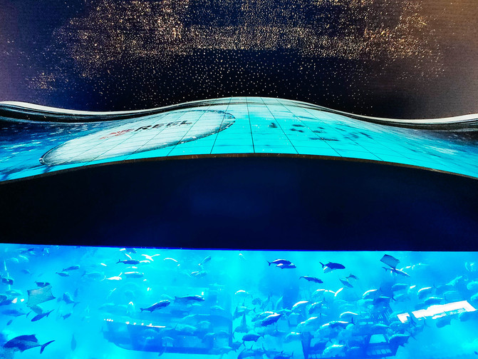 不一样的角度看迪拜,10个冷知识带你认识迪拜