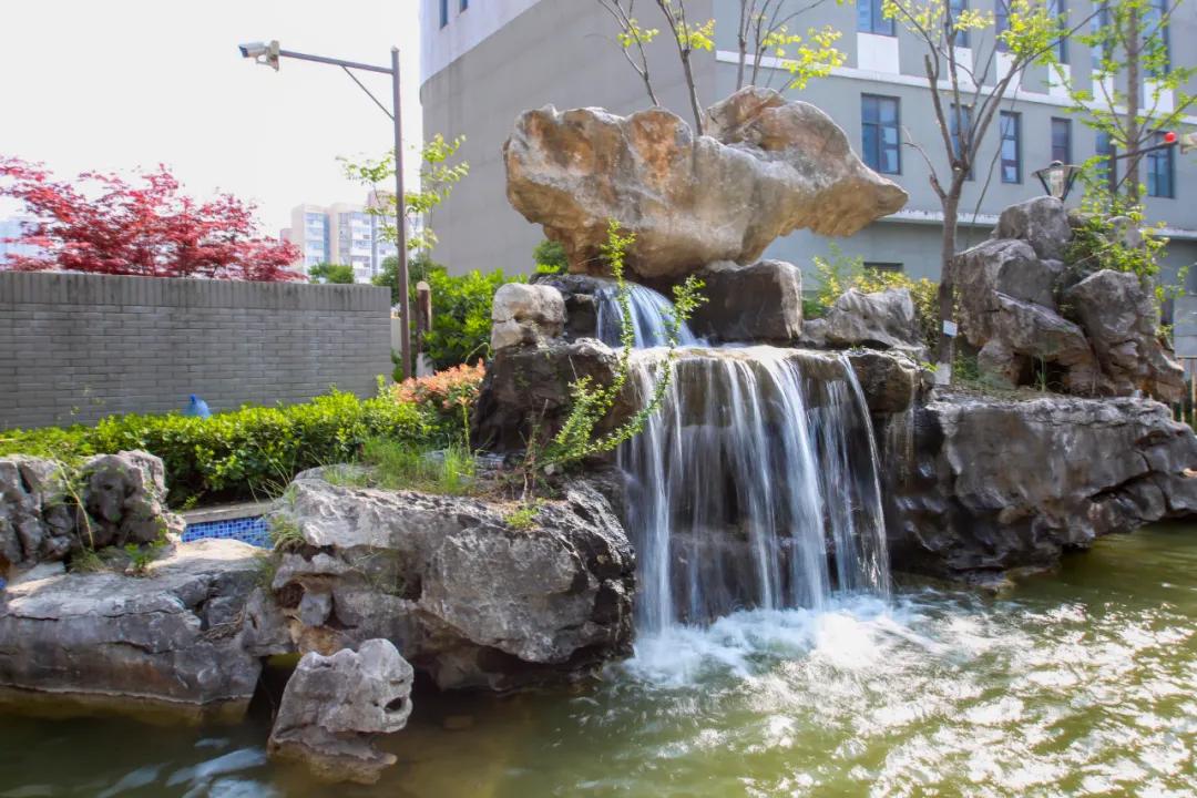 南京这所小学“弯道超车”，做了什么？