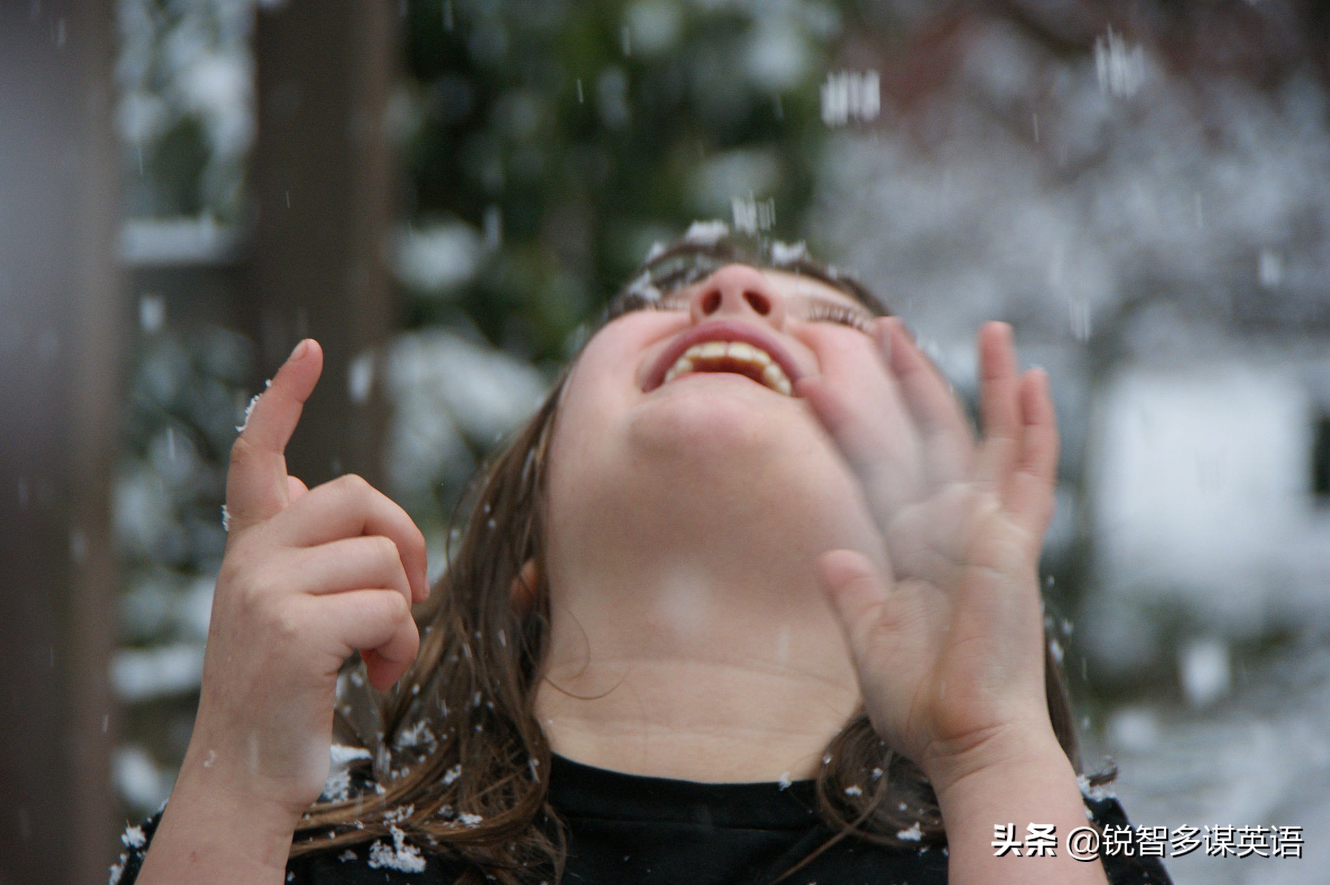 40个最美的英语单词,8个最美的英语单词