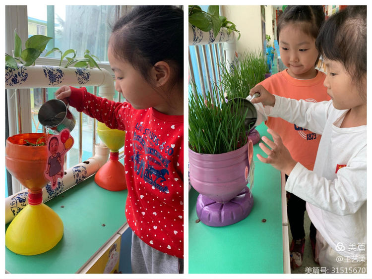 小角落大自然介绍,幼儿园大自然的奥秘主题墙创设