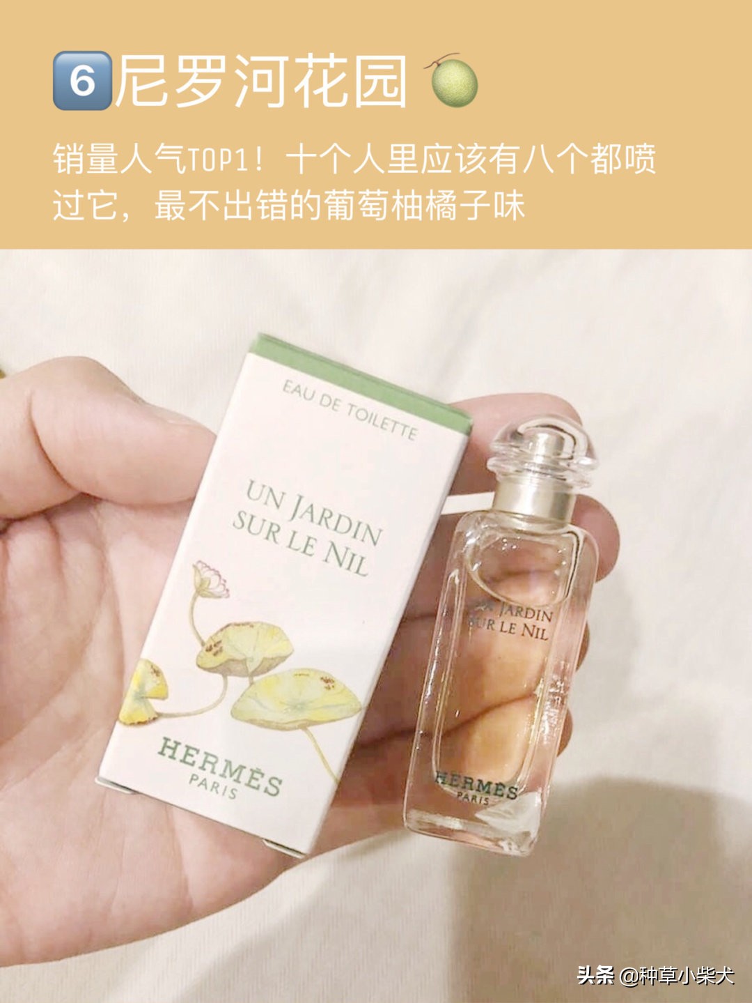 爱马仕律动二十四淡香水 (爱马仕蓝色橘彩星光香水)