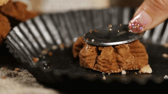 网红小熊曲奇,网红小熊曲奇最新视频