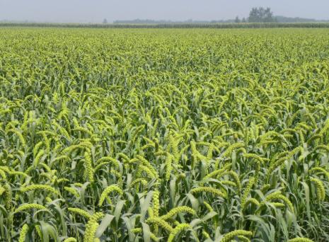 晚上游四方,游四方下联