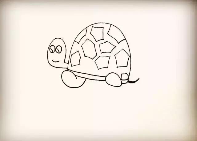海滩上的小乌龟儿童画,儿童画小乌龟的图片大全
