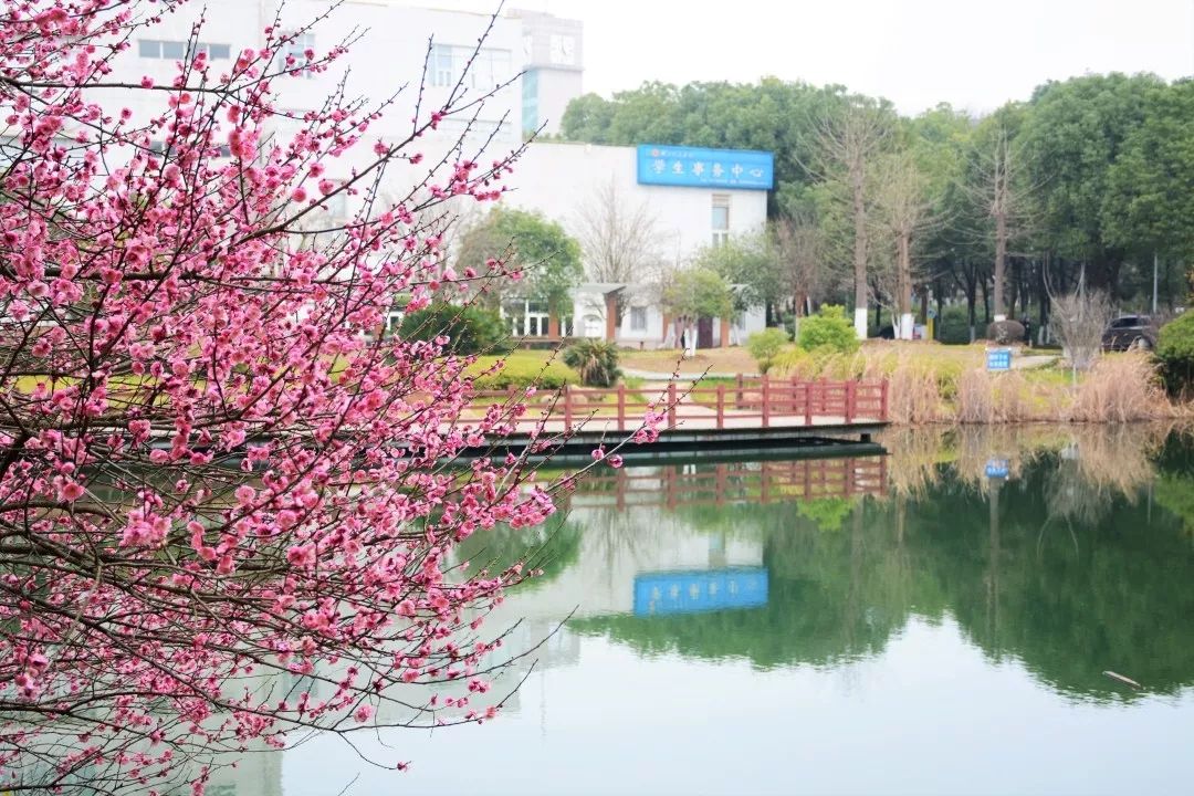 今天我以湖经为荣,明天湖经以我为傲