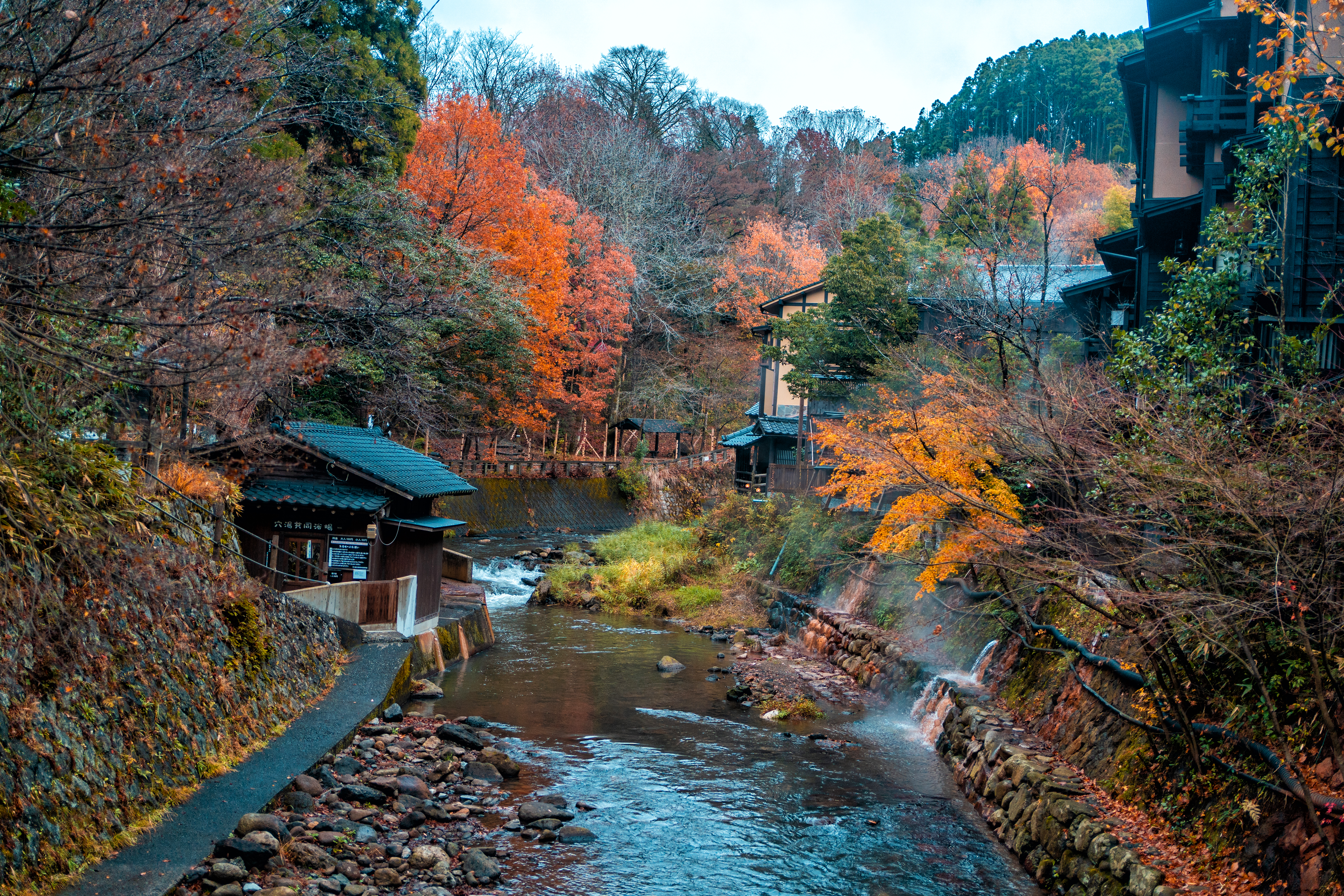 日本九州温泉城市,日本九州岛温泉