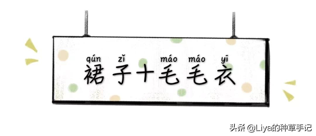 半裙+外套，连衣裙+外套=今春王炸组合