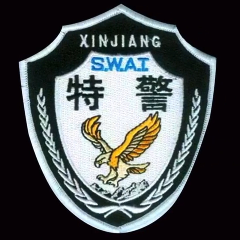 全国各个城市特警队臂章,公安特警帅图