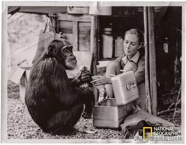 如何圆梦、创造奇迹？看了这6部高分人物传记纪录片，娃有了答案