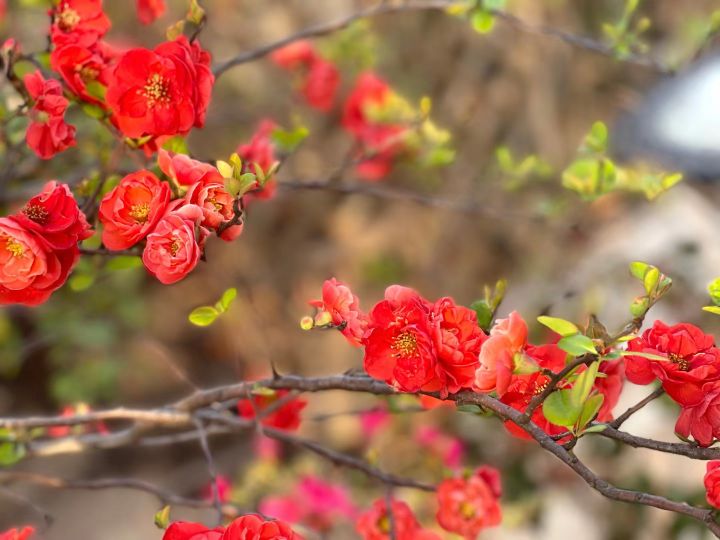 绝佳作文素材人民日报热点时评,作文素材人民日报段落