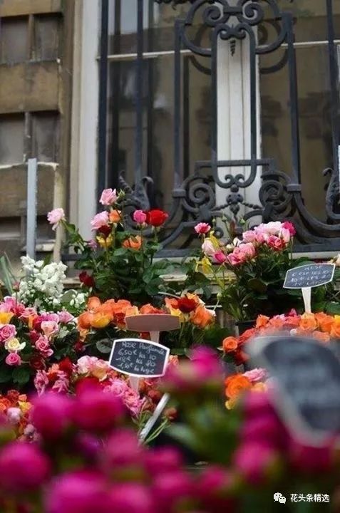 花店特色营销方案,网上花店怎么营销