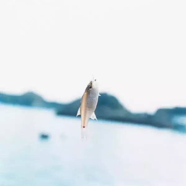 日本神级摄影师镜头下的夏天,日本拍日落的摄影师