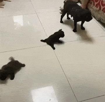 最新防割韭菜套路骗局揭秘,揭秘骗子那些割韭菜套路