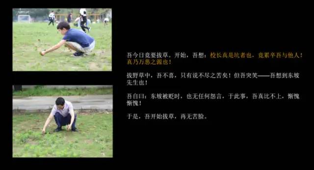 期末庆典〡诗酒趁年华:读写起来,讲玩起来,串烧起来,演唱起来