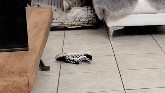 如何鉴定vans真假衣服,怎么能辨别vans鞋真假