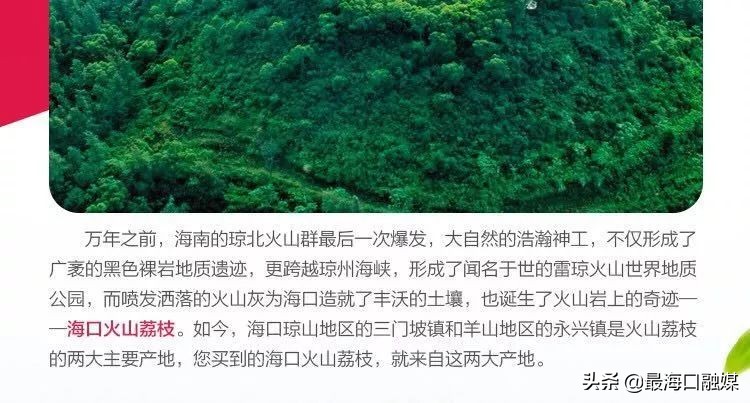 阿里巴巴淘乡甜预售海口火山荔枝啦！你想要的购买链接在这→