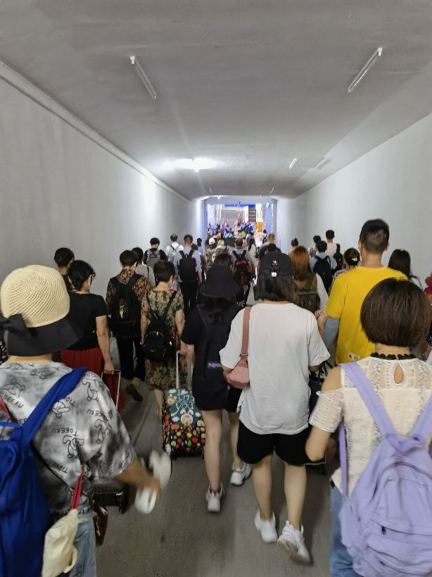 「武隆仙女山避暑游」之一：仙女山的神奇印象