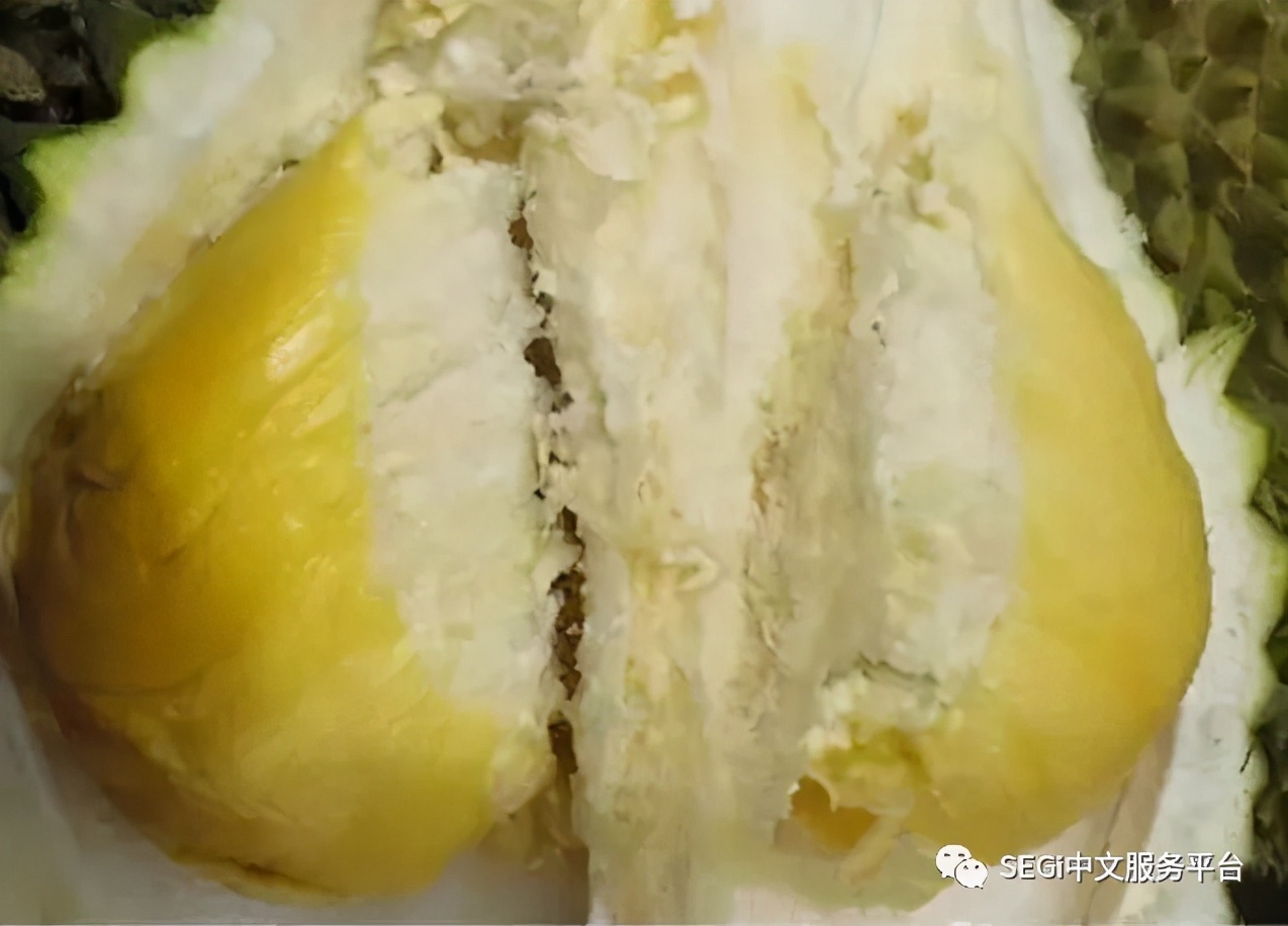 马来西亚的榴莲有啥品种,马来西亚榴莲有几种