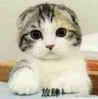 我家代沟不可能这么可爱