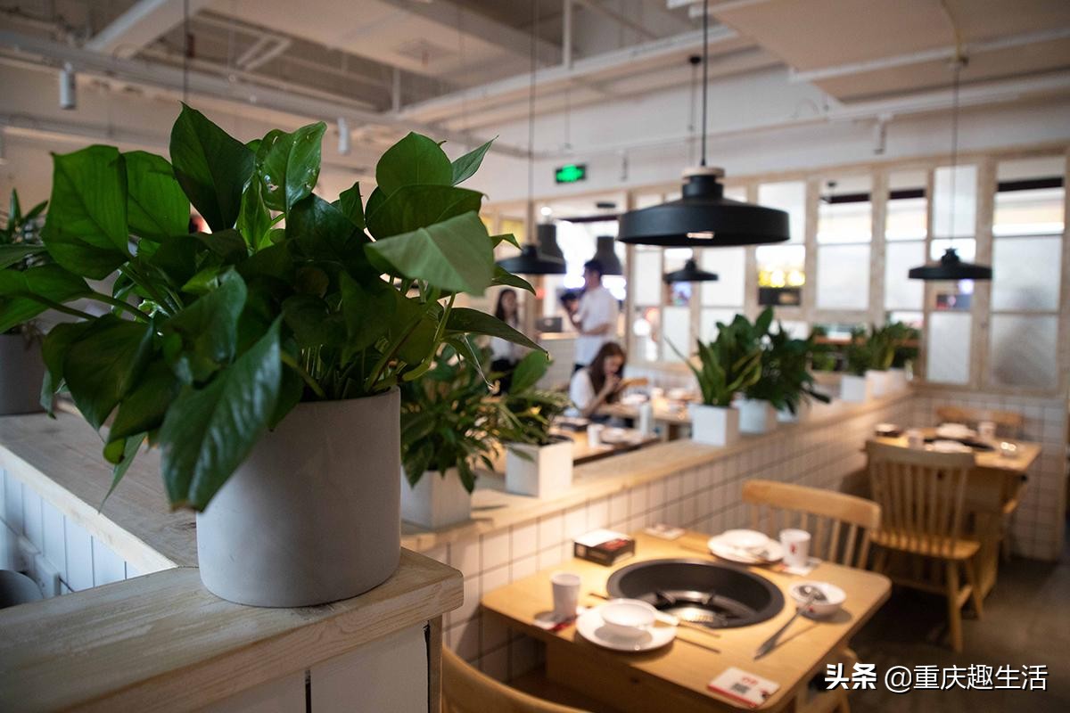 五一带娃互动好去处推荐,五一带娃打卡好去处