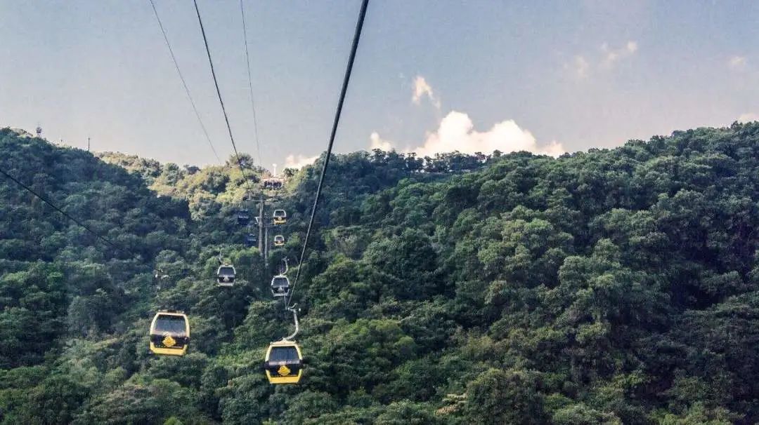 广州凉爽又好玩公园在哪里,夏季广州公园游玩攻略