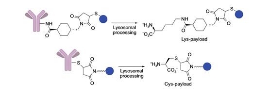 药渡,药渡数据研发流程