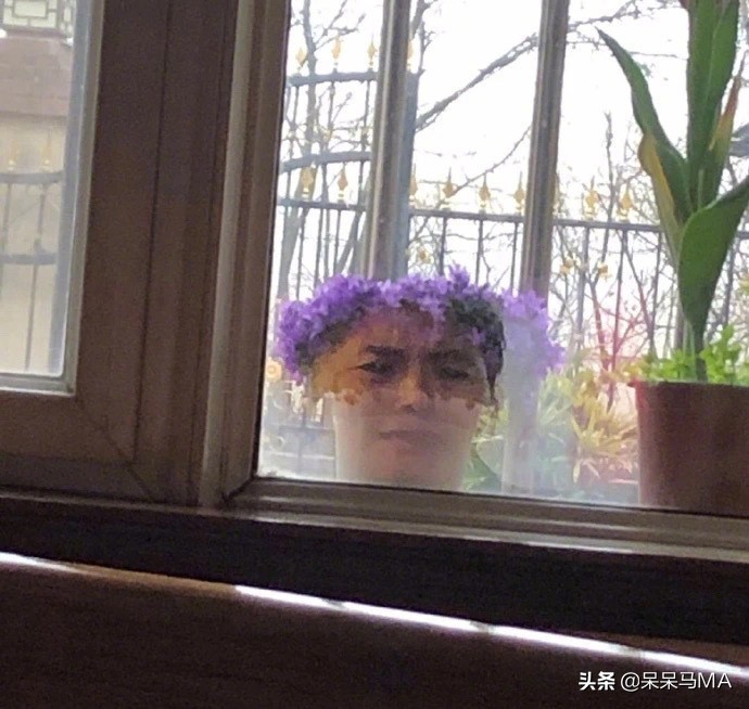 密室大逃脱搞笑记,密室大逃脱段子