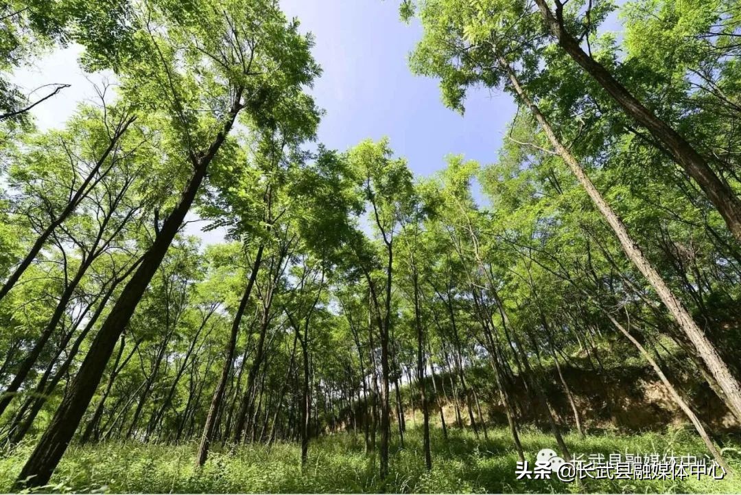 大美长武全部视频,把大好河山收藏