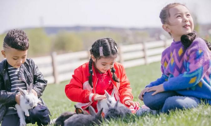 2023年三寰牧场最新攻略,三寰牧场攻略最新