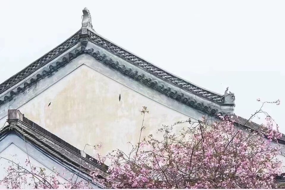 鍘熷垱鑸炶箞钀借姳,纰庡奖鍘熷垱