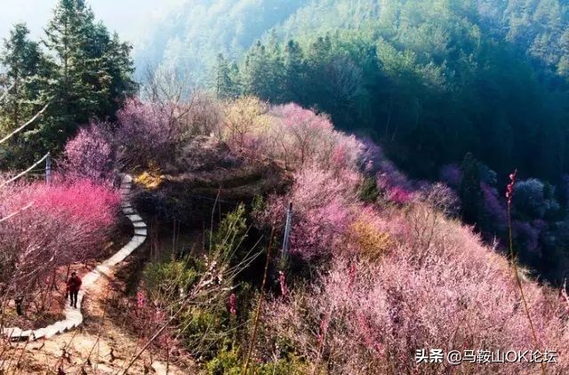 马鞍山天气预报降温时间,今年马鞍山冷吗