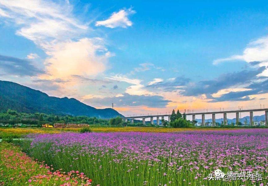 缙云轩辕故里,缙云我的故乡