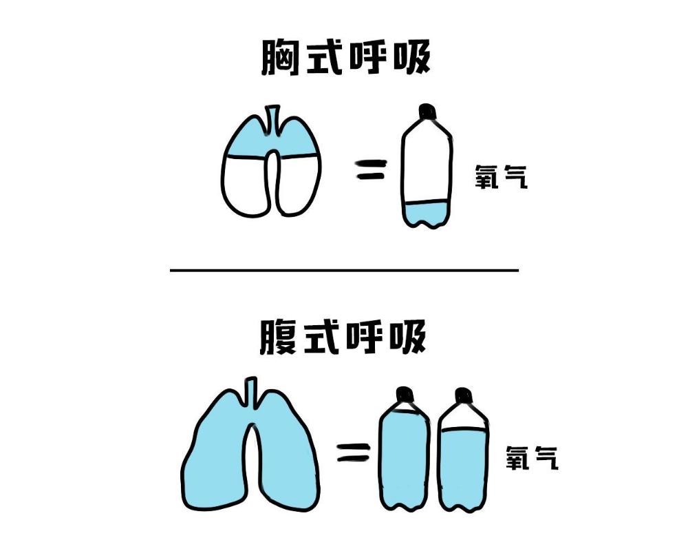 产后康复之呼吸方式：你学会了吗？