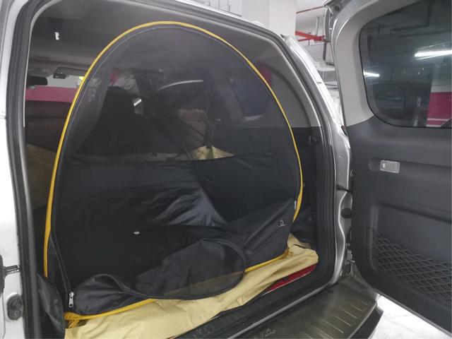 带着狗出去旅游需要注意什么,怎么带狗子出门旅行呢